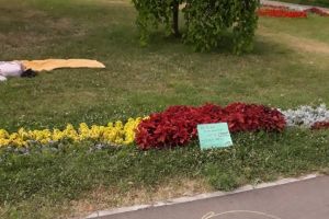 Ochi în ochi cu un necunoscut, timp de un minut, în Parcul Botanic din Timişoara
