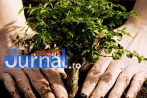 Pe de o parte se taie, pe pe altă parte se plantează. Vrancea, în topul judeţelor unde pădurile întineresc