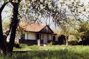 În sfârşit! Casa Memorială ”George Enescu” din Liveni, reabilitată cu fonduri europene. Ce valoare are proiectul