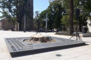 Stejarul din Piata Cetatii a fost taiat. Copiii vor planta, in locul lui, un platan. Cladirea in care functioneaza Scoala Generala ”Petre Dulfu” va deveni un centru cultural