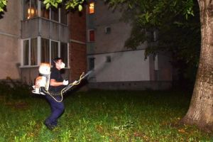 Târgu-Mureş: Încep activităţile de deratizare şi dezinsecţie pe domeniul public