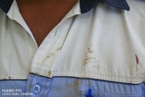 Și-a bătut iubita şi pe poliţiştii care au intervenit, apoi a spart cu capul geamul sediului Poliţiei din Făgăraş (Foto)