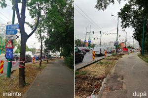 Robu anunţă că plantează de zece ori mai mulţi copaci decât taie! La Cardinale pică 10, se pun 14