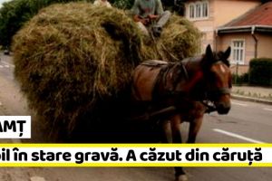 NEAMȚ: Copil în stare gravă după ce a căzut din căruţă