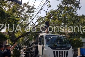 Cu cifa de beton prin mijlocul orasului Constanta. Se putea intampla o nenorocire (galerie foto)