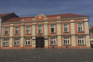 Chirie de peste 60.000 de euro pentru Lenau Mic, timp de doi ani