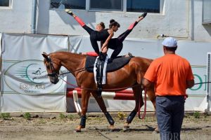 Acrobaţii pe cai, în Cetate: Cupa României la voltija se va organiza în premieră la Oradea