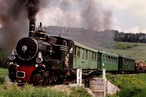 Veşti bune pentru mocăniţa de pe Valea Hârtibaciului