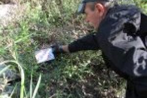 Începe a doua etapă de deratizare pe domeniul public din acest an