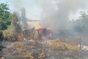 Un incendiu de vegetatie uscata s-a propagat la o casa din Isaceea, judetul Tulcea