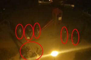 VIDEO. „Turmă de handalăi” scăpată pe un loc de joacă!