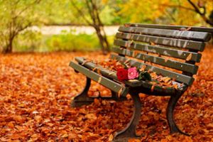 Cum va fi VREMEA în toamna 2019. Prognoza meteo pentru lunile septembrie, octombrie şi noiembrie