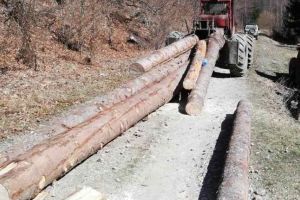 Material lemnos confiscat de poliţişti, la un control în trafic. Societate comercială din Bistriţa Năsăud, prinsă cu probleme în acte