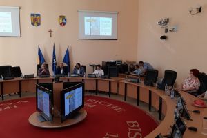 Ziua Diasporei. Ambasadori RePatriot: Poate că nu e tot roz în România, dar nici nu mai e atât de întunecat
