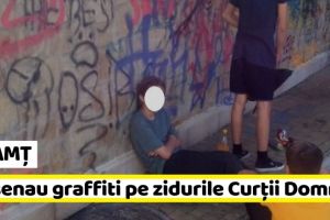NEAMȚ: Copii prinşi în timp ce desenau graffiti pe zidurile Curţii Domneşti (FOTO)