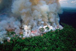 Catastrofă ecologică: Pădurea amazoniană este în flăcări de peste de două săptămâni. Focul ar fi fost pornit de fermieri (FOTO / VIDEO)