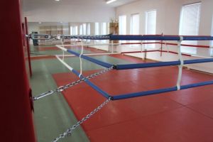 SURSE – Poliţistul antrenor care a vrut să violeze două fete la Sibiu, testat psihologic în 2017