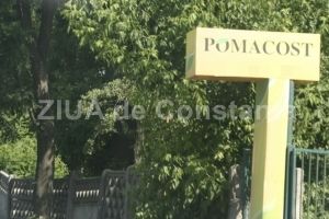 Pomacost, firma de casa a lui Mazare, fondata de defunctul Basarab Popa, isi schimba numele