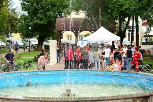 Voluntariatul şi implicarea în comunitate, promovate în acest weekend la Rădăuţi
