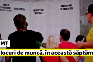 NEAMȚ: 168 NOI locuri de muncă, comunicate în această săptămână