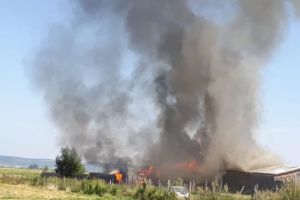 VIDEO FOTO Incendiu la un depozit de lemne din Gura Râului