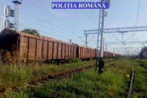 Tren, plin cu material lemnos, fara documente legale. Ce masuri au luat politistii din Teius (galerie foto)