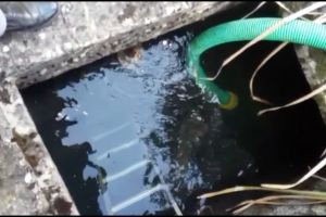 Trei localităţi fără apă, în urma intervenţiei unei persoane necunoscute asupra reţelei