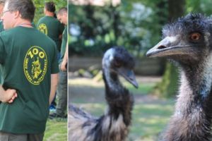GALERIE FOTO. ANIVERSARE: Grădina Zoologică Târgu Mureş, în creştere continuă, şi cu multe suprize pregătite!