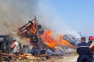 FOTO Incendiul de la Gura Râului – Au murit 19 oi
