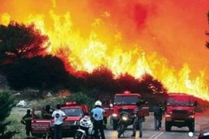 Infern pe o insulă din Grecia. Sute de turişti au fost evacuaţi din calea flăcărilor, în urma unui incendiu de pădure