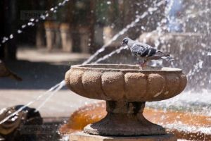 Vin zile toride, dar şi periculoase. Sfaturile medicilor pentru a vă proteja de caniculă