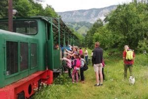 Pe Valea Arieşului răsună, din nou, glasul roţilor de tren. Sute de turişti se bucură de peisajele din Munţii Apuseni
