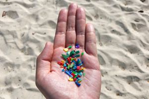 A nins cu... plastic!