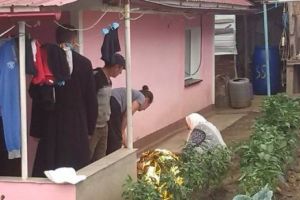 VASLUI. Omorât de tulburel, fără să-l bea