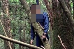 ACUM – Găsit spânzurat în Trivale!