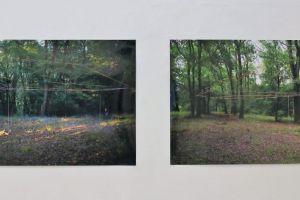 5 artişti, o rezidenţă şi o expoziţie – „Pădurea Rotundă VIII“ la Camera K’Arte
