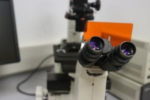 Puteţi depista din timp cancerul de col uterin. Testaţi-vă la Timişoara, la Maternitatea Odobescu
