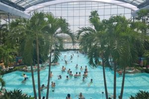 Therme introduce curse gratuite pe ruta Ploiesti-Bucuresti si retur
