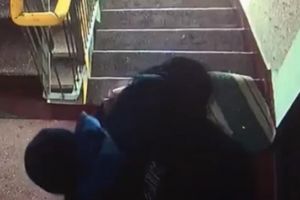 Tâlhar imobilizat într-o scară de bloc. A ameninţat un sătmărean cu un pistol cu bile