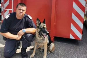 FOTO. Mepa, câinele de salvare al pompierilor sătmăreni, sărbătorit