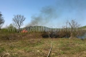 ISU Dâmboviţa a răspuns la 240 de cazuri medicale şi 32 de incendii de vegetaţie într-o singură săptămână