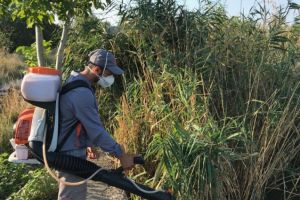 Se actioneaza in continuare pentru dezinsectia cartierelor din Constanta
