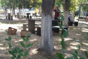 Constanteanul suparat:  Agentii de paza din parcul din Tomis II nu reactioneaza la scandalagii, in schimb, stau pe Facebook in timpul programului!“