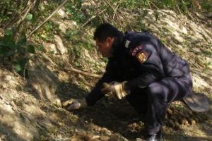 Pericol pe un drum din Arad: BOMBĂ de 50 de kilograme, la cinci metri de şosea