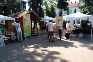 Proiectul „Voluntar pentru Rădăuţi”, iniţiat de Asociaţia „Rădăuţiul Civic”