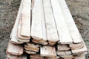 Acţiune desfăşurată de poliţişti pentru combaterea delictelor silvice