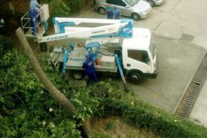 Cel mai frumos NUC din Banat, răpus de DRUJBE!