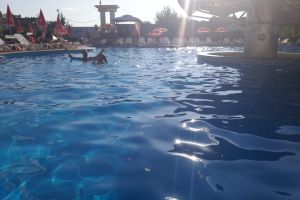 “DASO CADO pentru toţi”! De la 1 septembrie, tarifele vor fi reduse