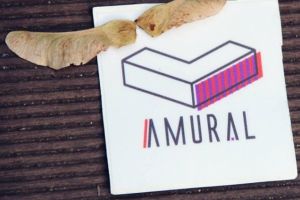 ÎN DIRECT Noutăţi la ediţia 2019 a Festivalului Amural