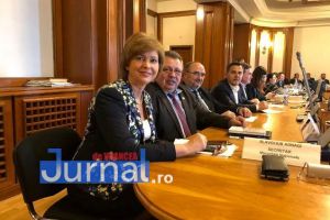 Ion Ștefan: Amendament PNL în Comisia de Industrii: preţurile reglementate la gaze şi energie sunt eliminate